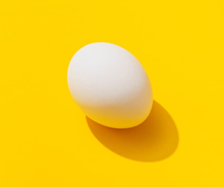 an egg on a yellow background